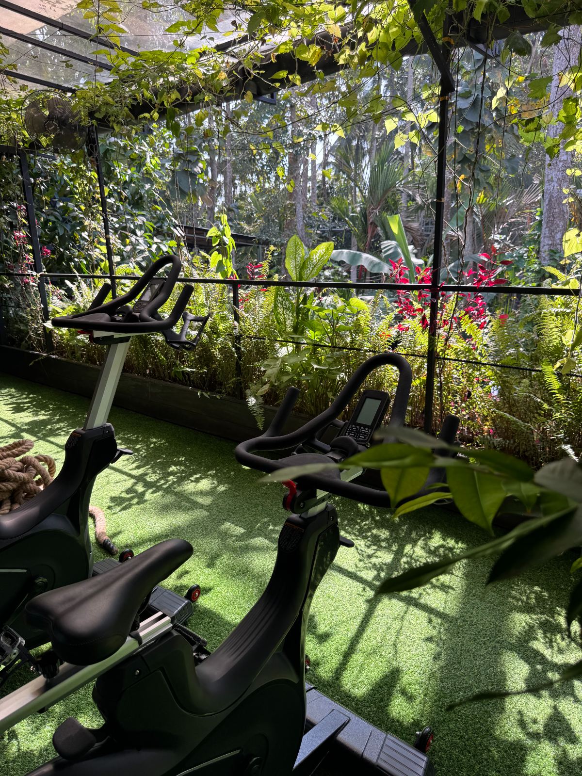 Cardio bikes on turf facing the jungle through the glazing